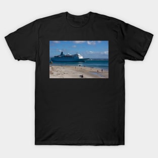 Albatross sailing. T-Shirt